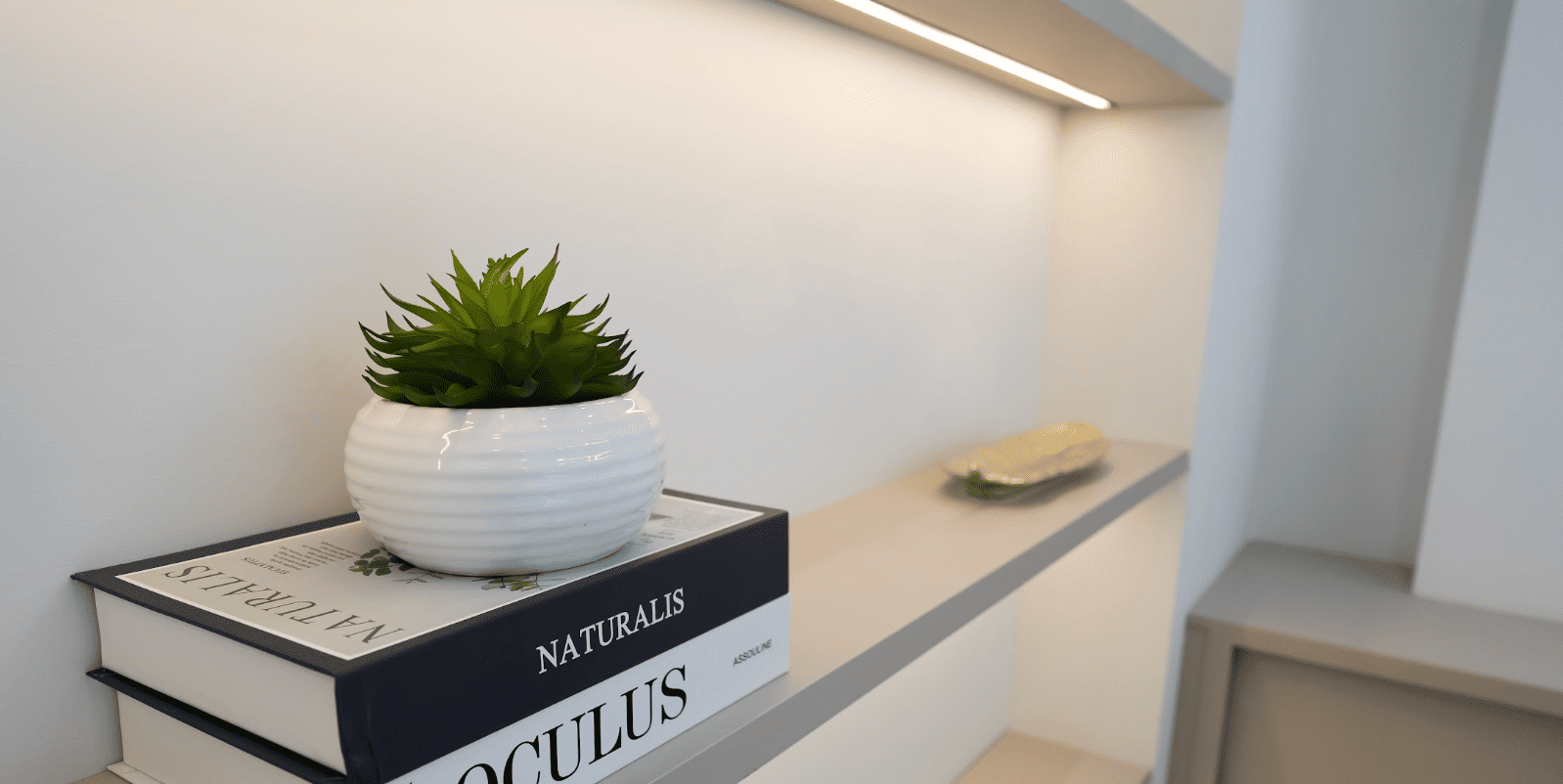 Detalhe de prateleira clean de consultório com vaso branco texturizado e suculenta verde sobre livros de capa dura Naturalis e Oculus, iluminação suave de LED contínua, ambiente minimalista sofisticado, fotografia de interiores ultra-realista